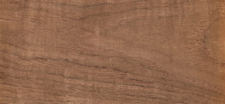 チーク材とは?選び方や用途について解説 - 業務用家具 ADAL(アダル)公式オンラインショップ
